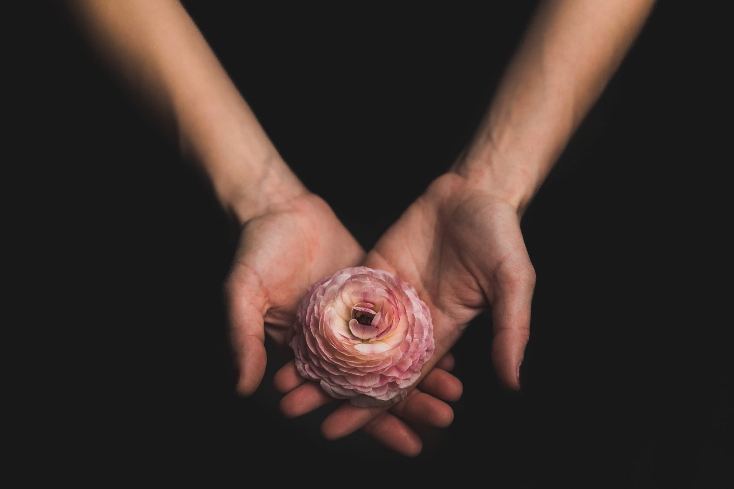 The Welcome Ritual — Gift Set